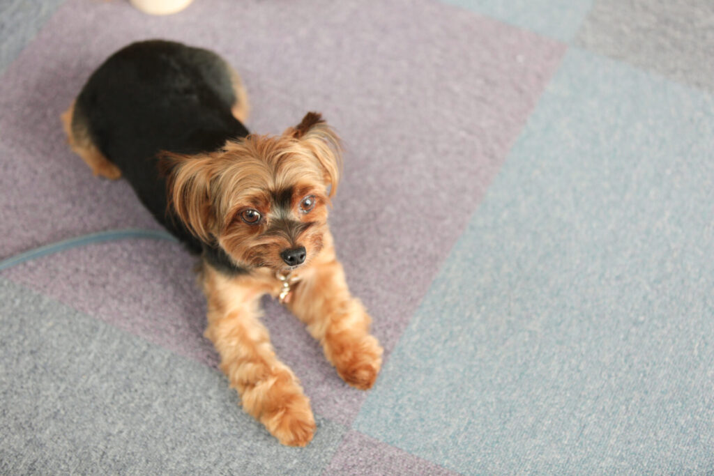 アキヤマ社内の写真